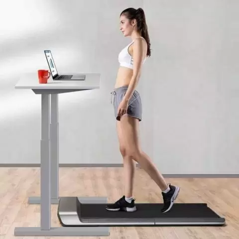 Xiaomi Kingsmith A1 Walkingpad Treadmill Home Gym Singapore 