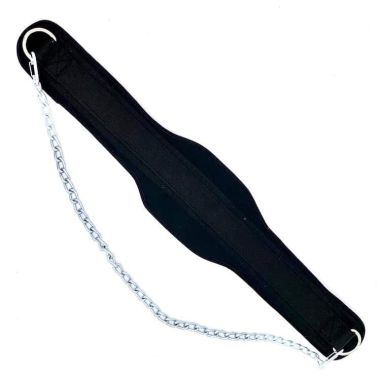 Dipping Belt