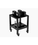 Dumbbell rack with wheels