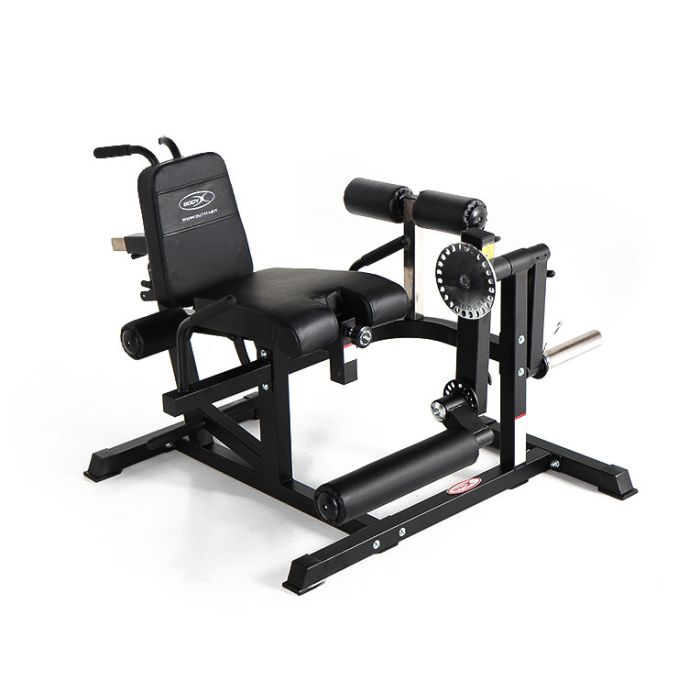 Bodyx 4-in-1 Core and Leg Bench