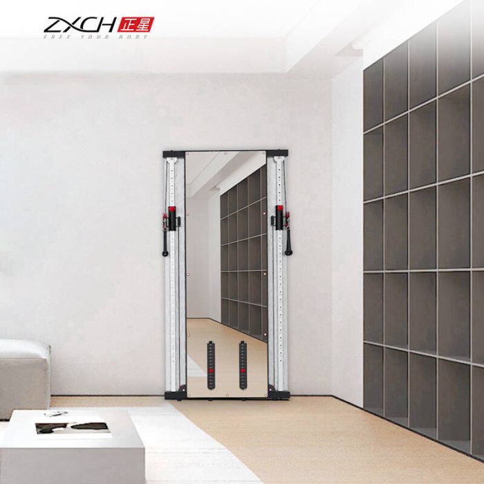 ZXCH H2 Mirrored Functional Trainer