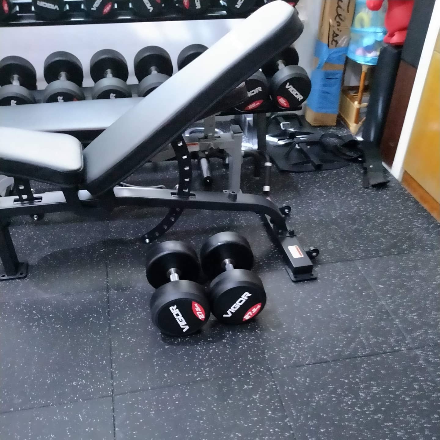 Bench and dumbbells for home gym