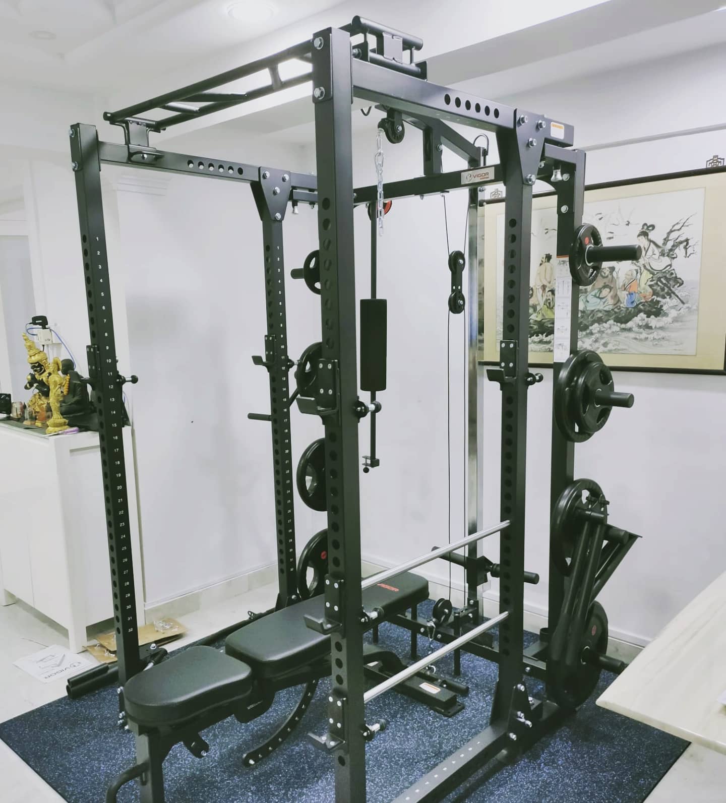 Get strong and stay safe with the vigor folding power rack.  #homegymsg #sgfitness #sgfitfam #homegym #gymequipment #homegymsetup