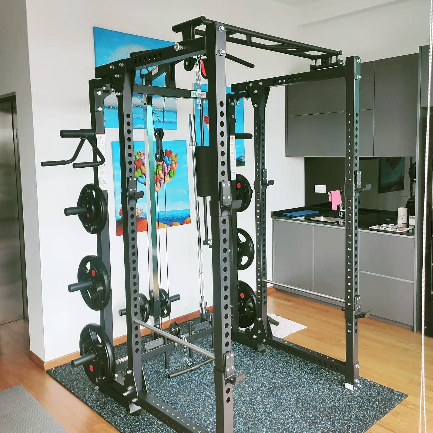 Vigor folding power rack, an all in one system that folds into 1/3 of its size. No drilling required.  #homegymsg #sgfitness #sgfitfam #homegym #gymequipment #homegymsetup