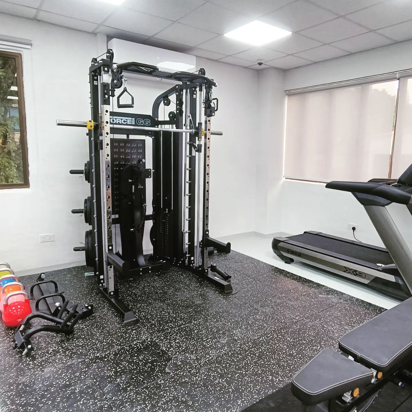 Office gym setup consist of Shua X9 Treadmill, Force USA G6, kettlebell and rubber mat.
