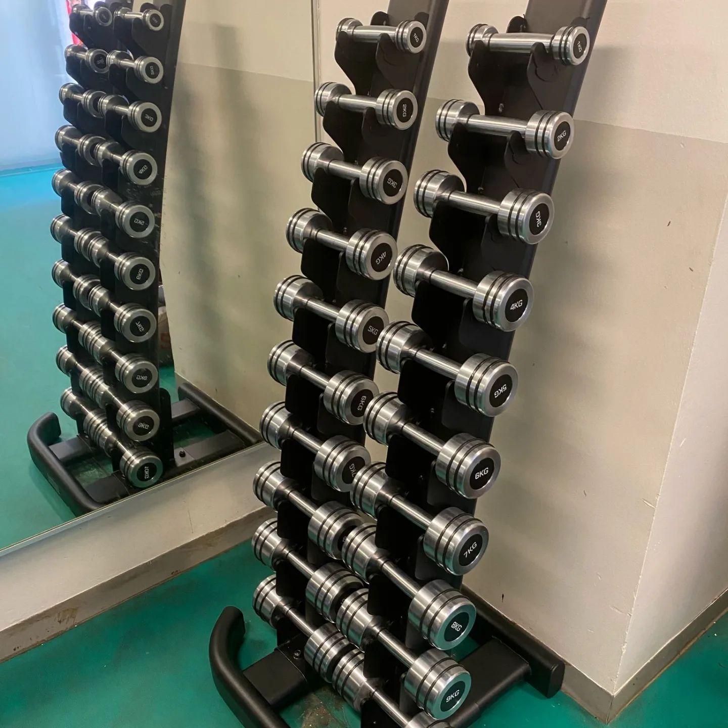 Commercial discount gym dumbbells