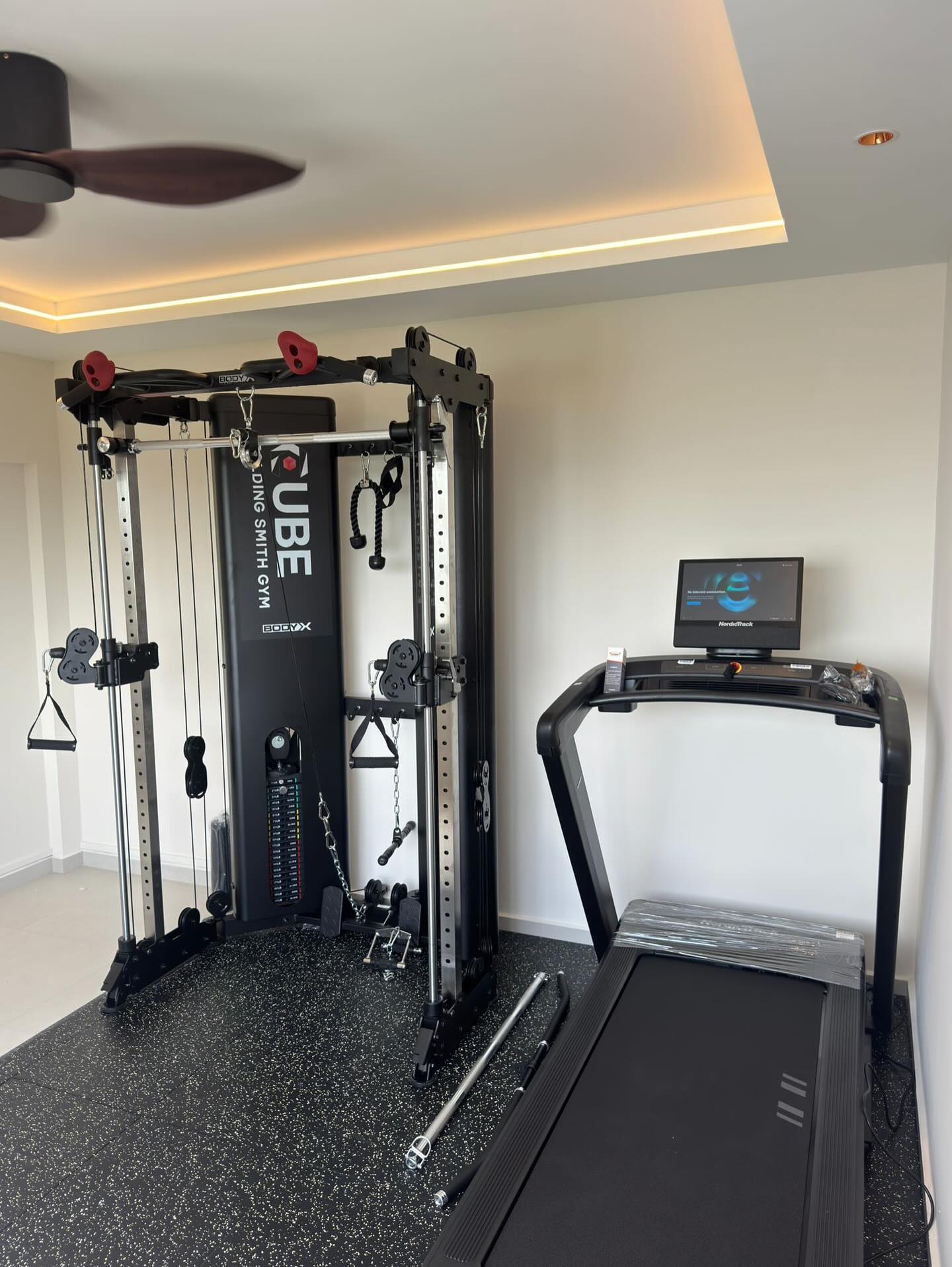 Bodyx Cube Smith folding gym with Nordictrack 1750 Treadmill
