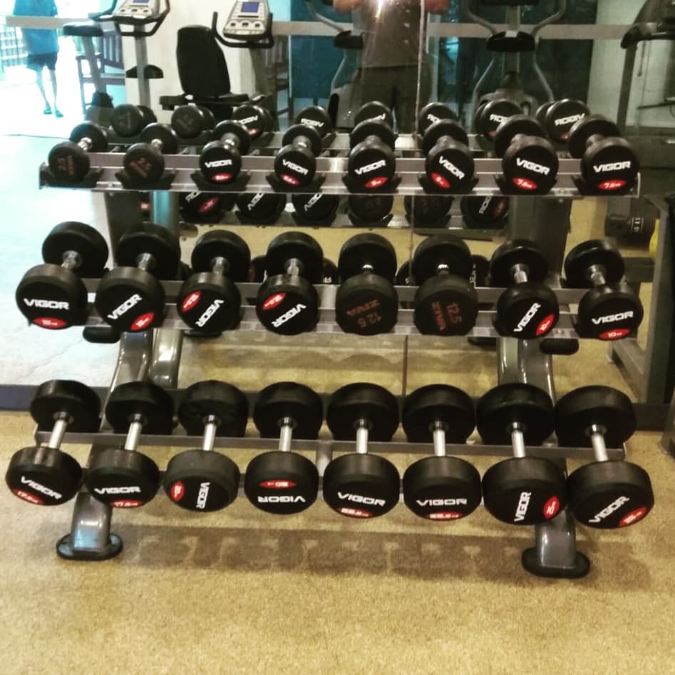 Pro style dumbbell set for the gym.