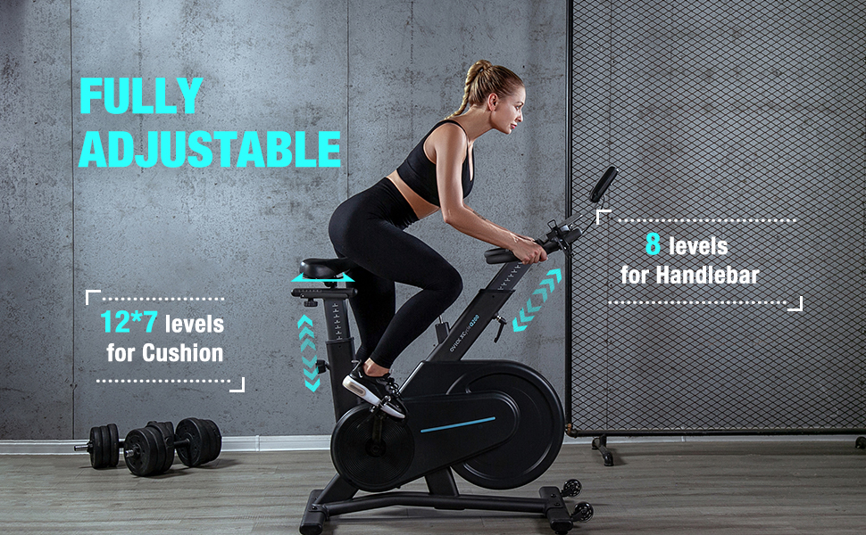 Ovicx q200 magnetic spin bike sale